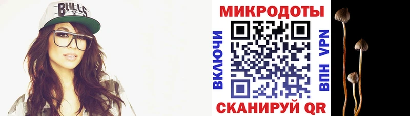 цены наркотик  Венёв  Галлюциногенные грибы мицелий 